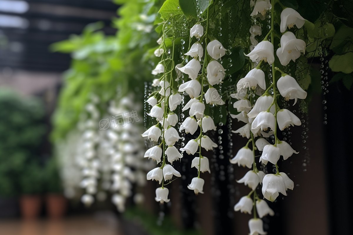 雨后的风铃花ai文生图案例