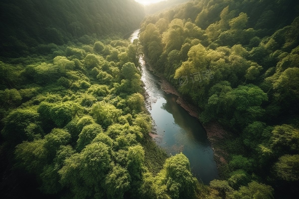 丛林雨林航拍大河图