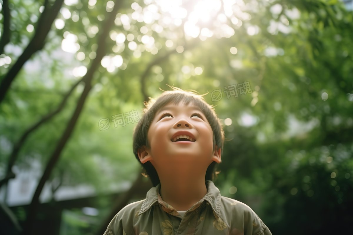 7岁男孩抬头看树看风景